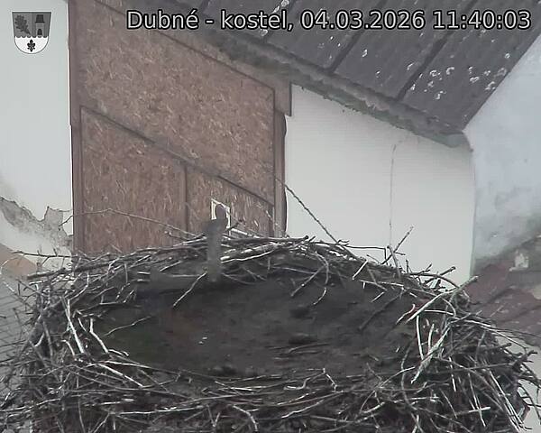 Capi_Dubne_20260304_114003.jpg (1350&nbsp;x&nbsp;1080)