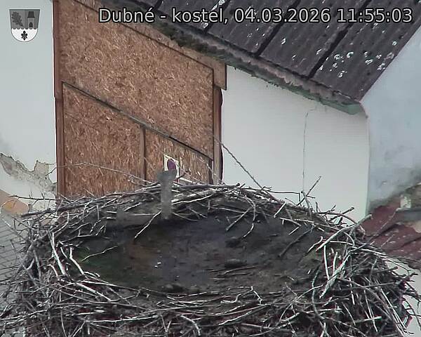 Capi_Dubne_20260304_115503.jpg (1350&nbsp;x&nbsp;1080)