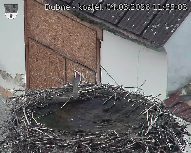Capi_Dubne_20260304_115503.jpg (1350&nbsp;x&nbsp;1080)