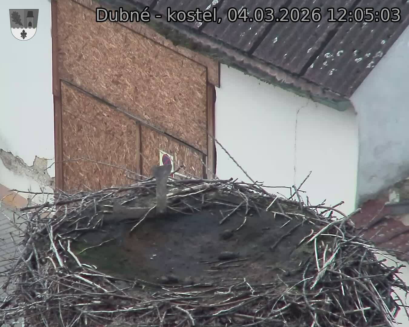 Capi_Dubne_20260304_120503.jpg (1350&nbsp;x&nbsp;1080)