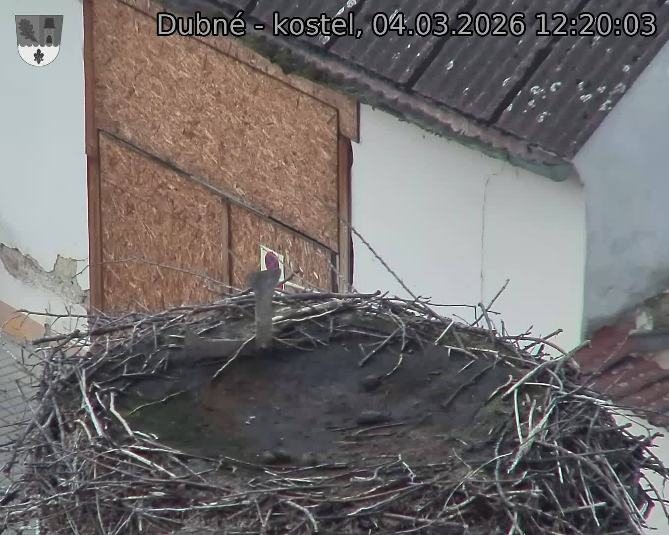 Capi_Dubne_20260304_122003.jpg (1350&nbsp;x&nbsp;1080)