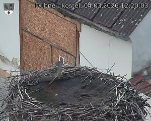 Capi_Dubne_20260304_122003.jpg (1350&nbsp;x&nbsp;1080)