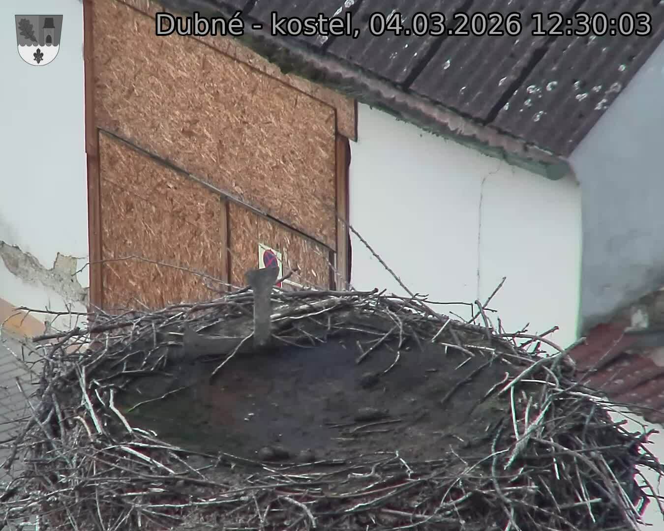 Capi_Dubne_20260304_123003.jpg (1350&nbsp;x&nbsp;1080)