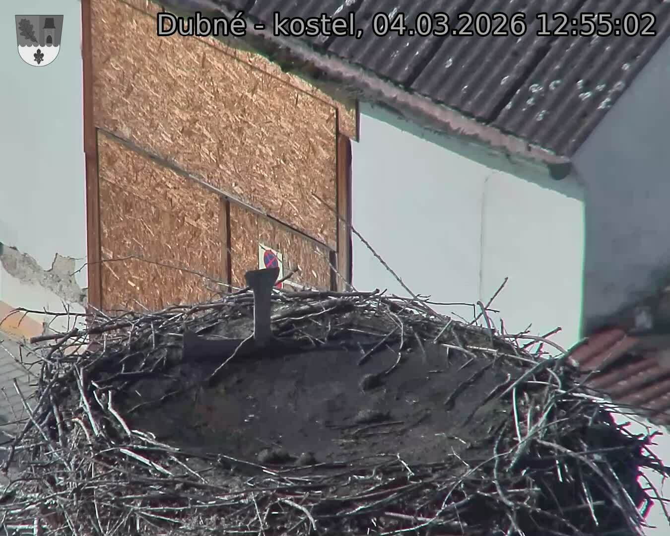 Capi_Dubne_20260304_125502.jpg (1350&nbsp;x&nbsp;1080)