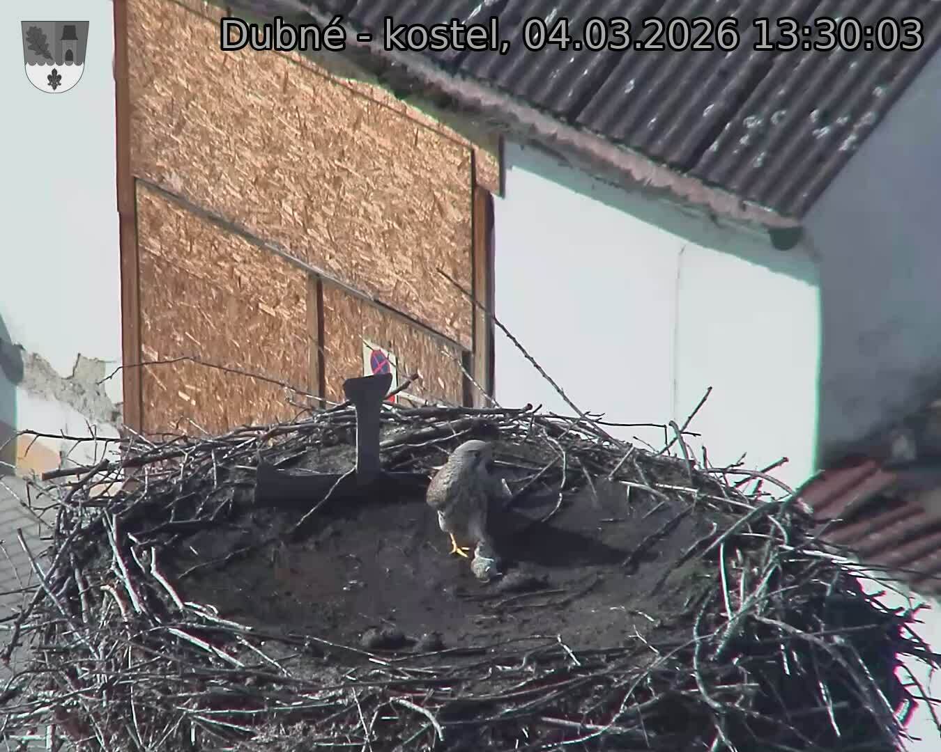 Capi_Dubne_20260304_133003.jpg (1350&nbsp;x&nbsp;1080)