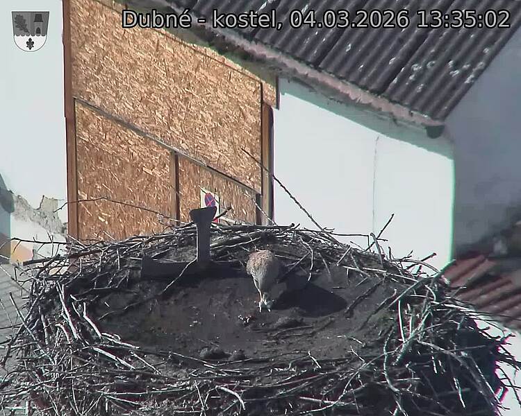 Capi_Dubne_20260304_133502.jpg (1350&nbsp;x&nbsp;1080)