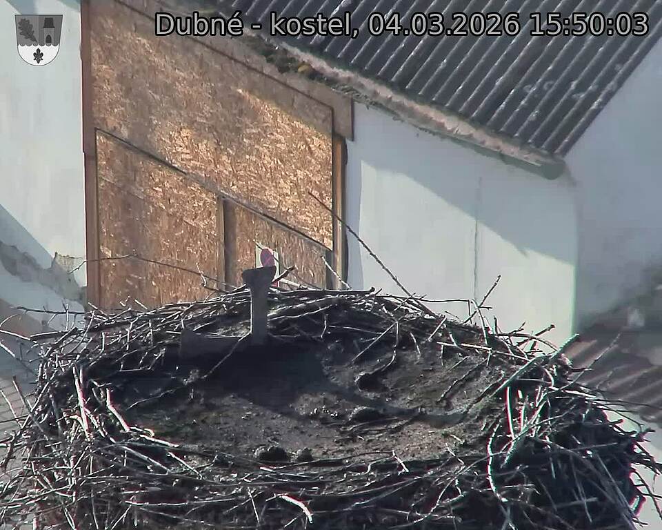 Capi_Dubne_20260304_155003.jpg (1350&nbsp;x&nbsp;1080)