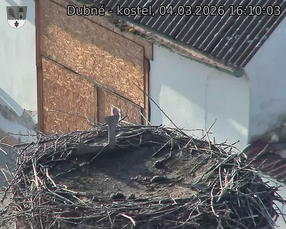 Capi_Dubne_20260304_161003.jpg (1350&nbsp;x&nbsp;1080)