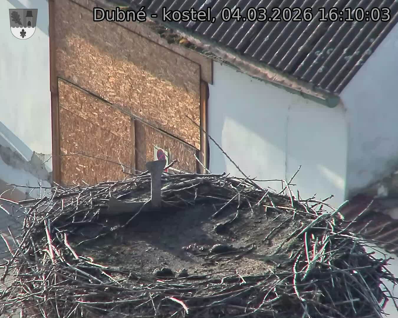 Capi_Dubne_20260304_161003.jpg (1350&nbsp;x&nbsp;1080)