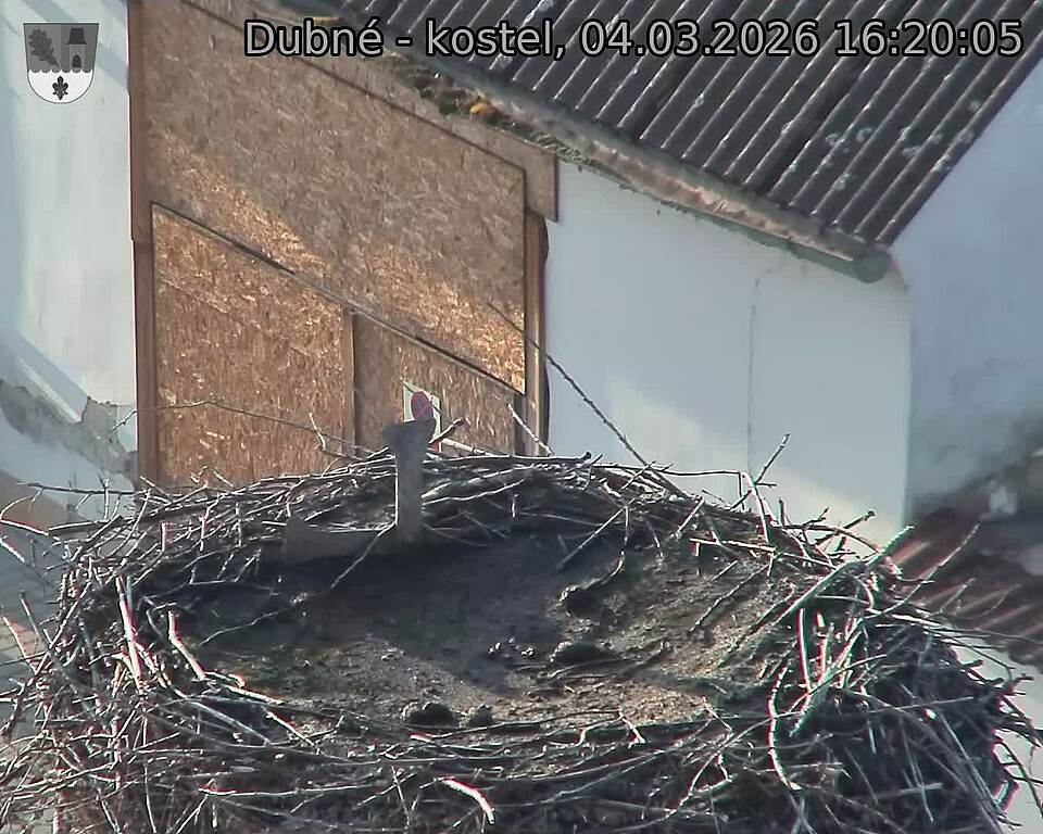 Capi_Dubne_20260304_162005.jpg (1350&nbsp;x&nbsp;1080)