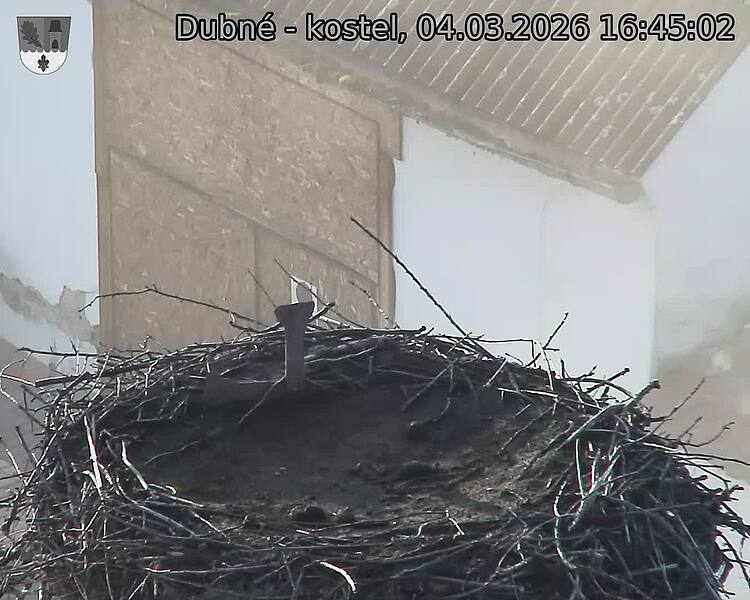 Capi_Dubne_20260304_164502.jpg (1350&nbsp;x&nbsp;1080)