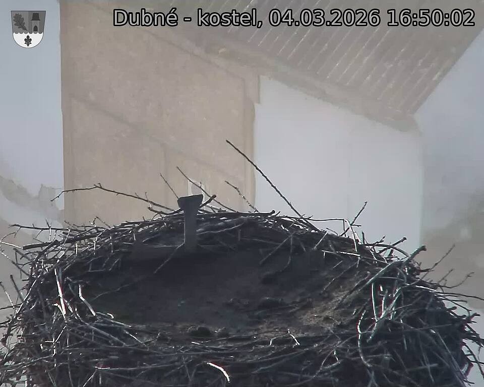 Capi_Dubne_20260304_165002.jpg (1350&nbsp;x&nbsp;1080)