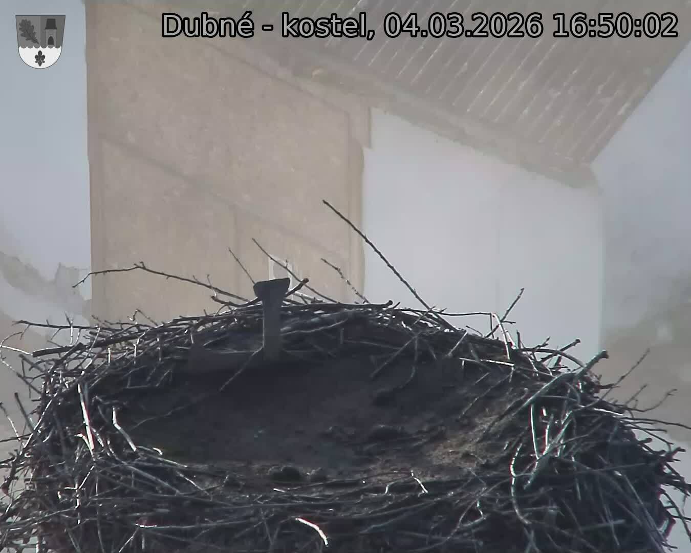 Capi_Dubne_20260304_165002.jpg (1350&nbsp;x&nbsp;1080)