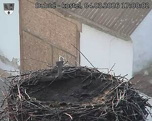 Capi_Dubne_20260304_170002.jpg (1350&nbsp;x&nbsp;1080)