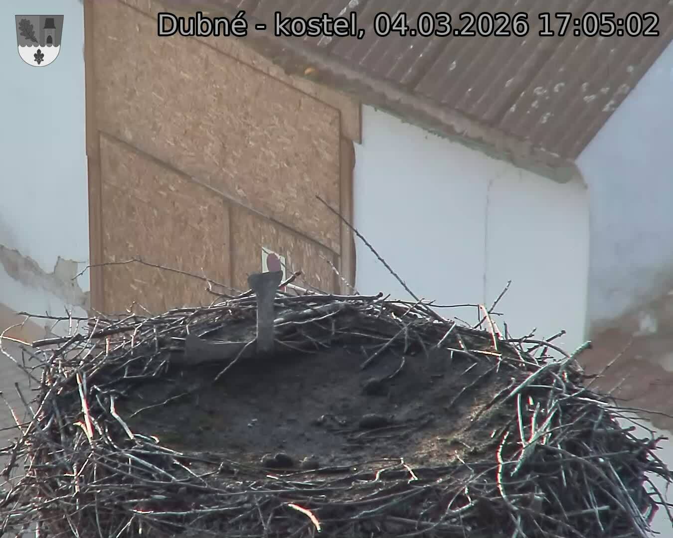 Capi_Dubne_20260304_170502.jpg (1350&nbsp;x&nbsp;1080)