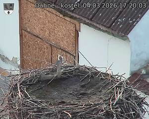 Capi_Dubne_20260304_172003.jpg (1350&nbsp;x&nbsp;1080)