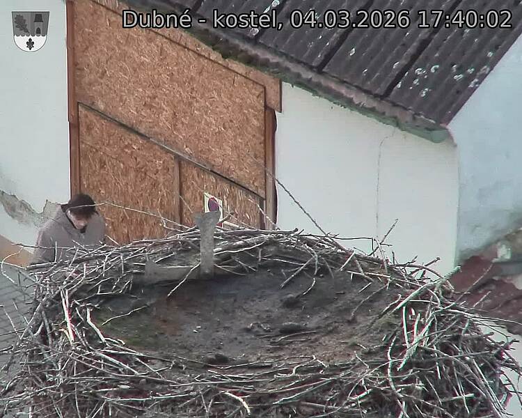 Capi_Dubne_20260304_174002.jpg (1350&nbsp;x&nbsp;1080)