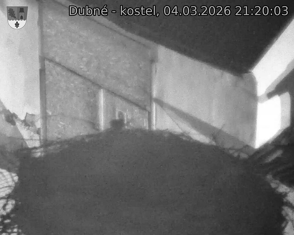 Capi_Dubne_20260304_212003.jpg (1350&nbsp;x&nbsp;1080)