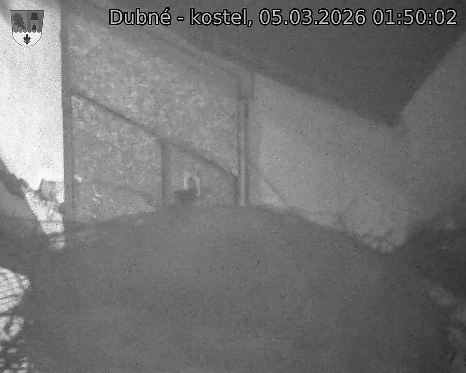 Capi_Dubne_20260305_015002.jpg (1350&nbsp;x&nbsp;1080)