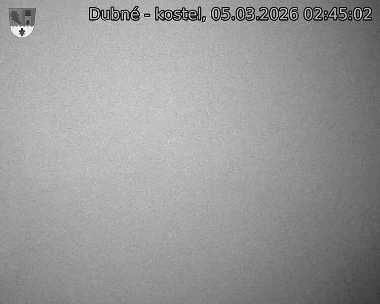 Capi_Dubne_20260305_024502.jpg (1350&nbsp;x&nbsp;1080)