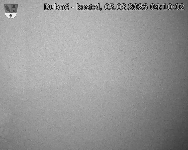 Capi_Dubne_20260305_041002.jpg (1350&nbsp;x&nbsp;1080)