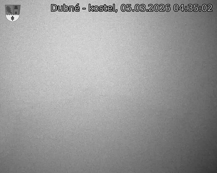 Capi_Dubne_20260305_043502.jpg (1350&nbsp;x&nbsp;1080)