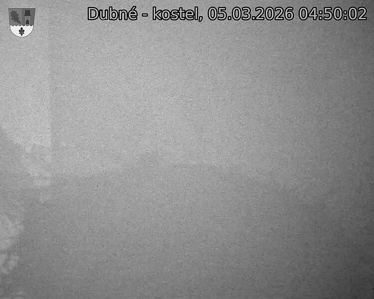 Capi_Dubne_20260305_045002.jpg (1350&nbsp;x&nbsp;1080)