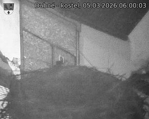 Capi_Dubne_20260305_060003.jpg (1350&nbsp;x&nbsp;1080)