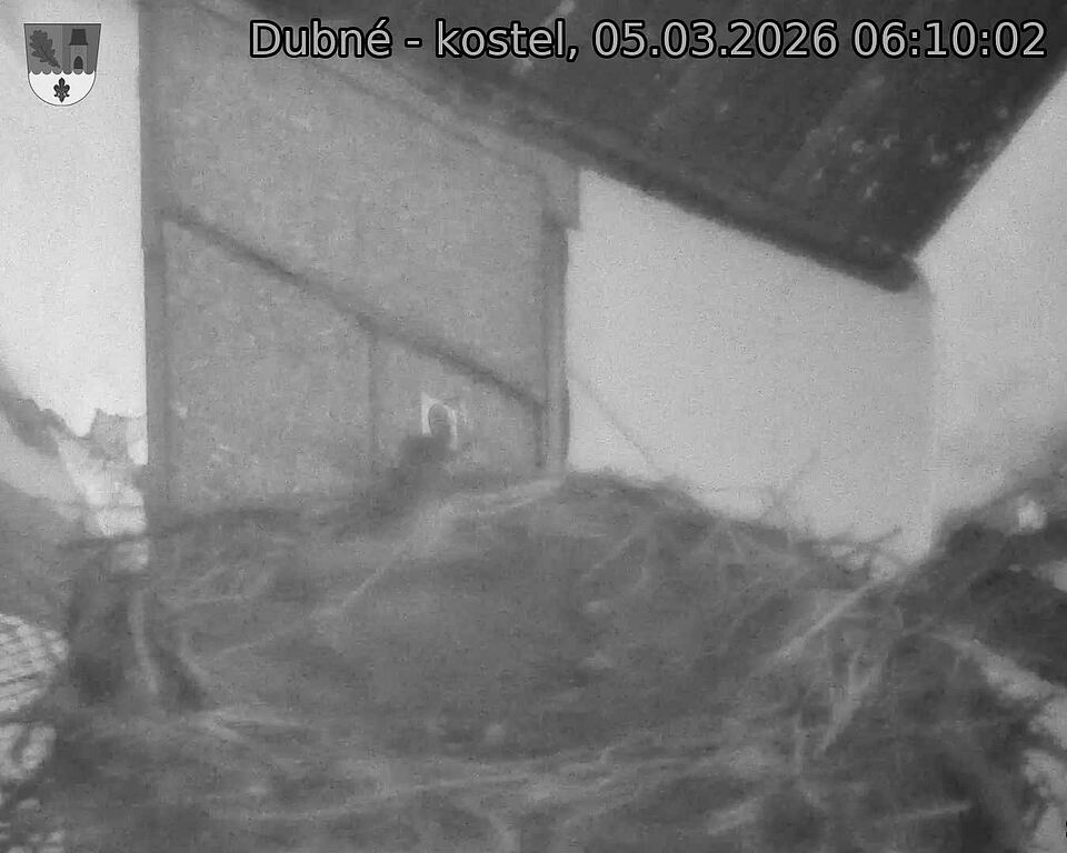 Capi_Dubne_20260305_061002.jpg (1350&nbsp;x&nbsp;1080)
