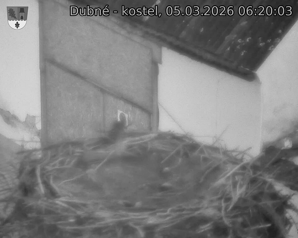 Capi_Dubne_20260305_062003.jpg (1350&nbsp;x&nbsp;1080)