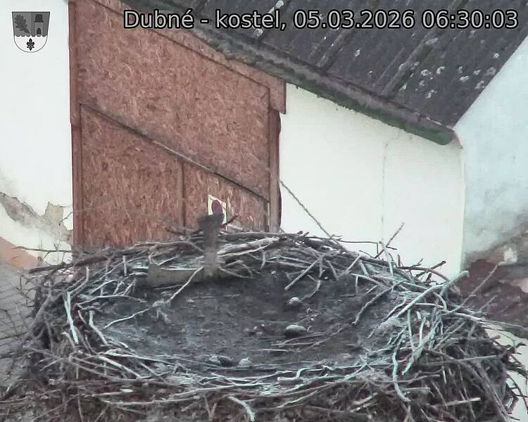 Capi_Dubne_20260305_063003.jpg (1350&nbsp;x&nbsp;1080)