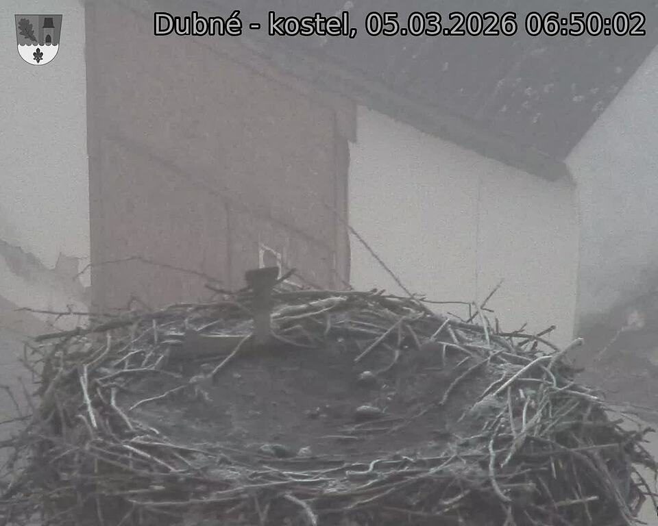Capi_Dubne_20260305_065002.jpg (1350&nbsp;x&nbsp;1080)