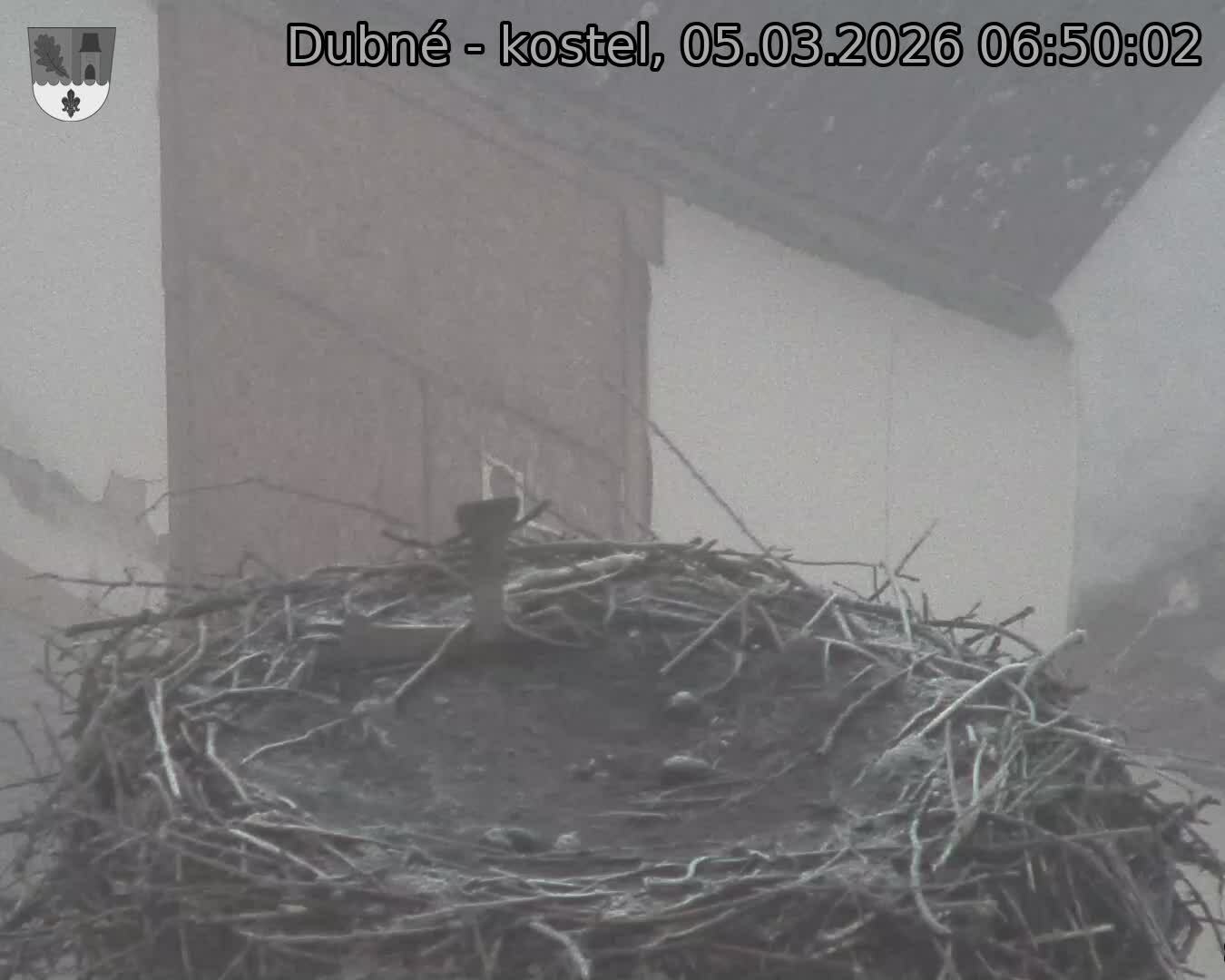 Capi_Dubne_20260305_065002.jpg (1350&nbsp;x&nbsp;1080)
