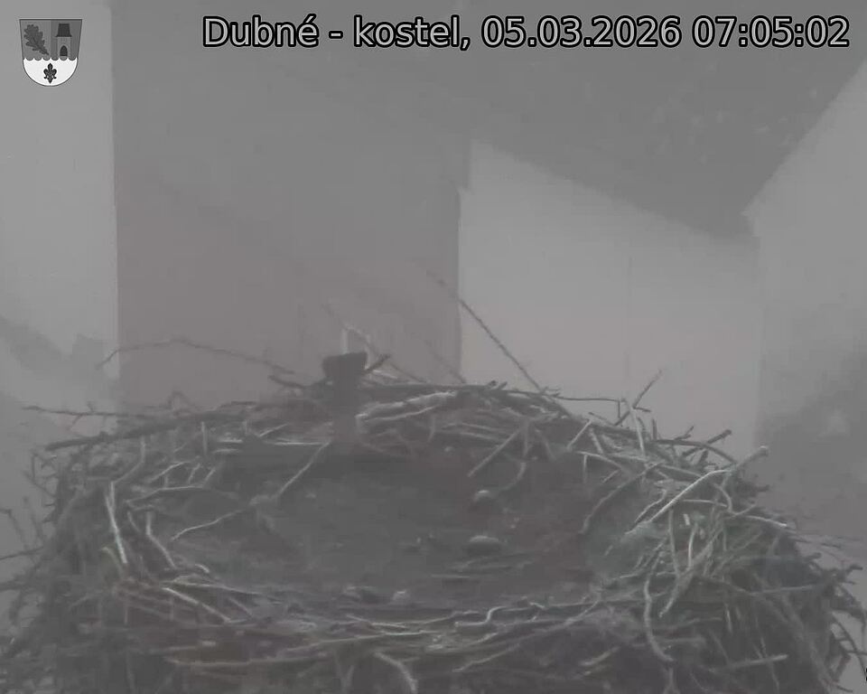 Capi_Dubne_20260305_070502.jpg (1350&nbsp;x&nbsp;1080)
