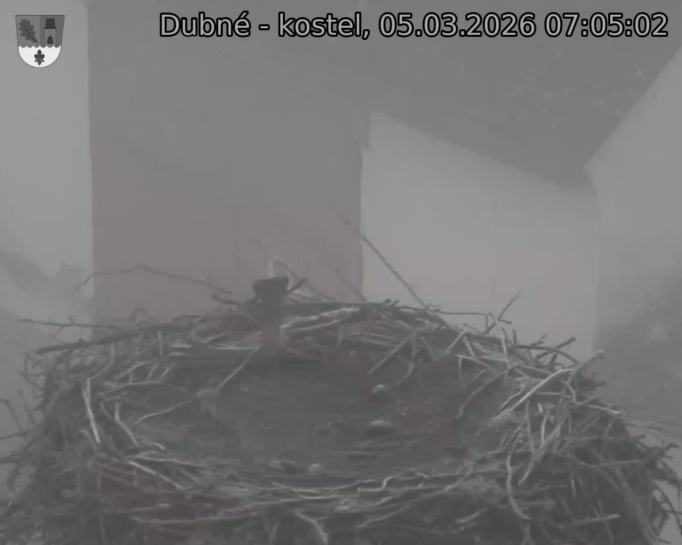 Capi_Dubne_20260305_070502.jpg (1350&nbsp;x&nbsp;1080)