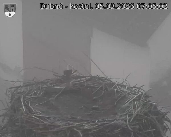 Capi_Dubne_20260305_070502.jpg (1350&nbsp;x&nbsp;1080)