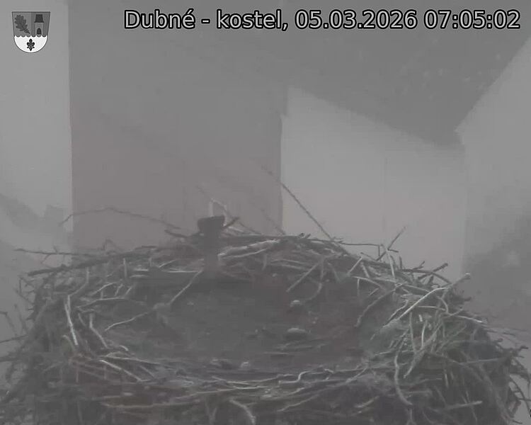 Capi_Dubne_20260305_070502.jpg (1350&nbsp;x&nbsp;1080)