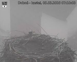 Capi_Dubne_20260305_071003.jpg (1350&nbsp;x&nbsp;1080)