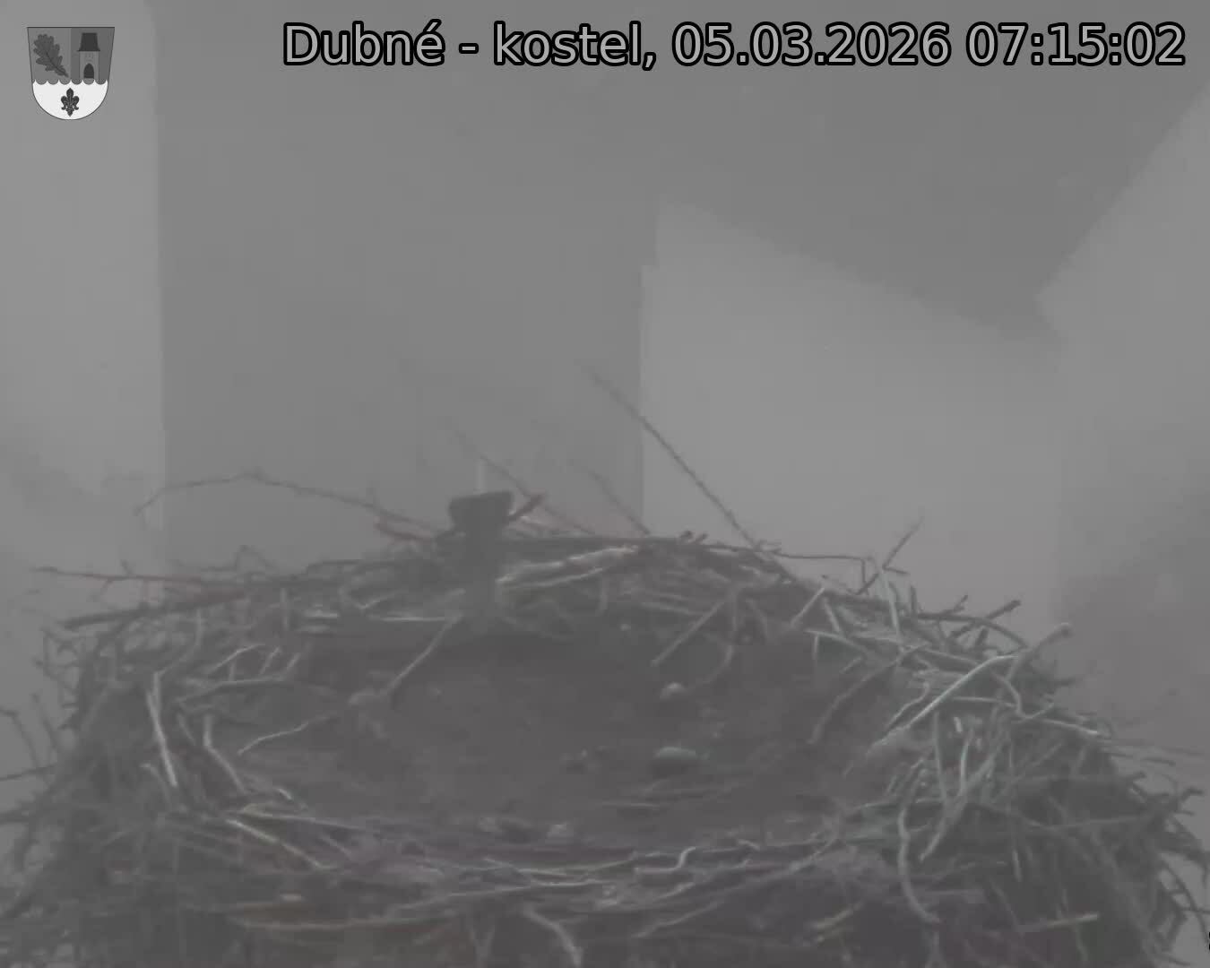 Capi_Dubne_20260305_071502.jpg (1350&nbsp;x&nbsp;1080)