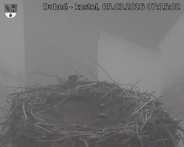 Capi_Dubne_20260305_071502.jpg (1350&nbsp;x&nbsp;1080)