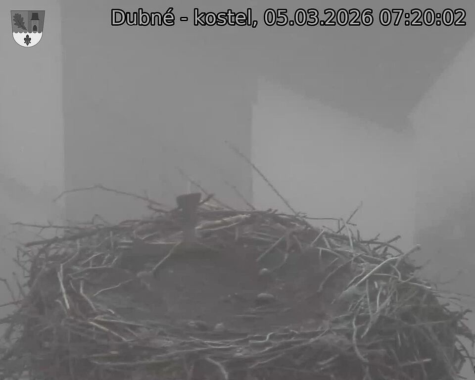 Capi_Dubne_20260305_072002.jpg (1350&nbsp;x&nbsp;1080)