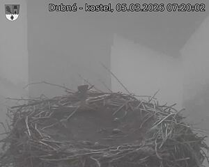 Capi_Dubne_20260305_072002.jpg (1350&nbsp;x&nbsp;1080)