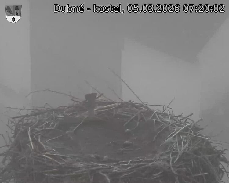 Capi_Dubne_20260305_072002.jpg (1350&nbsp;x&nbsp;1080)