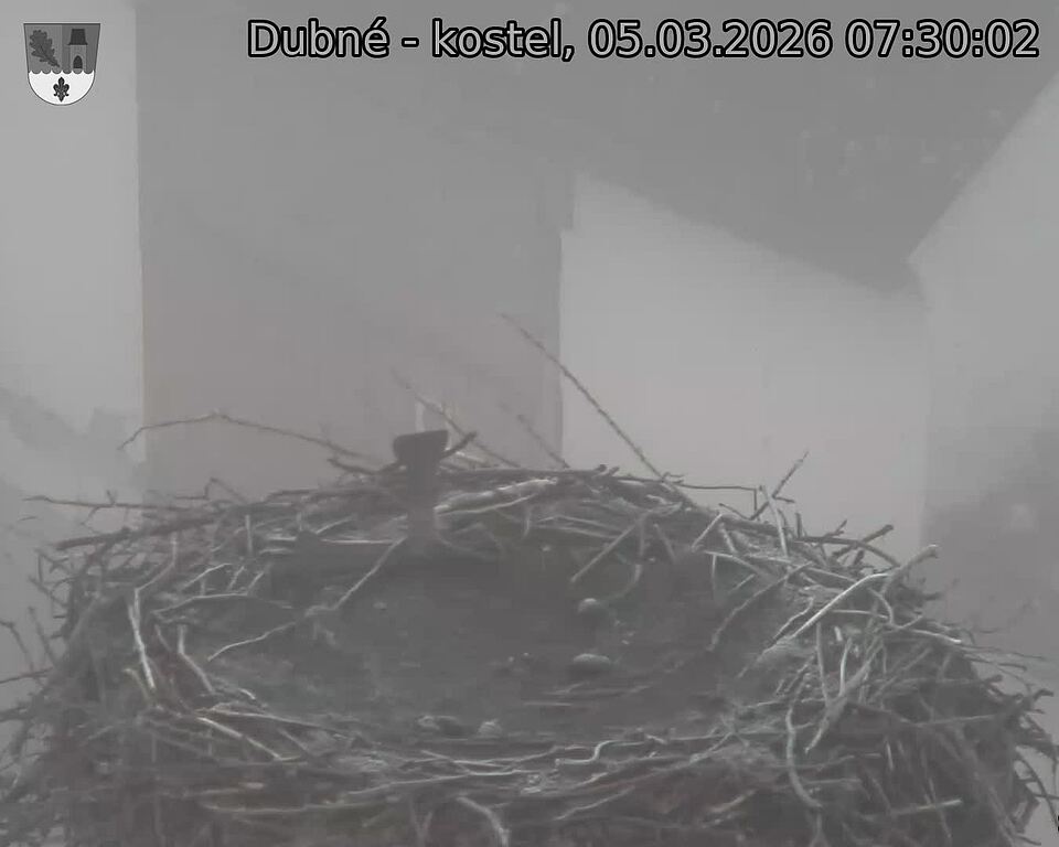 Capi_Dubne_20260305_073002.jpg (1350&nbsp;x&nbsp;1080)