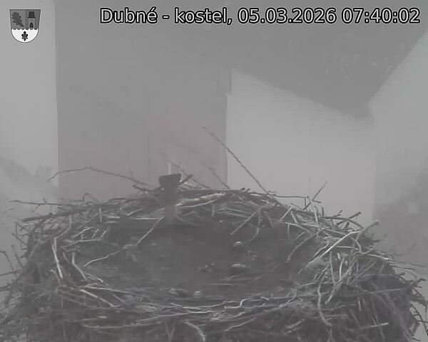 Capi_Dubne_20260305_074002.jpg (1350&nbsp;x&nbsp;1080)