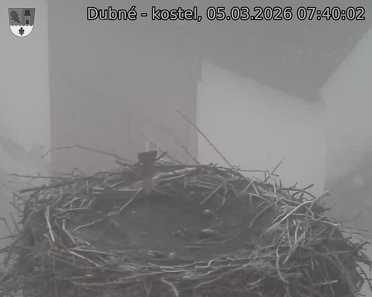 Capi_Dubne_20260305_074002.jpg (1350&nbsp;x&nbsp;1080)
