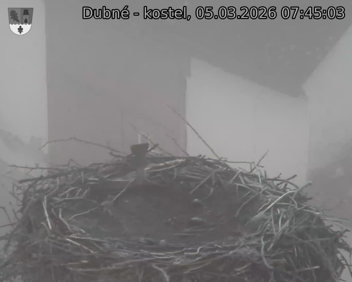 Capi_Dubne_20260305_074503.jpg (1350&nbsp;x&nbsp;1080)