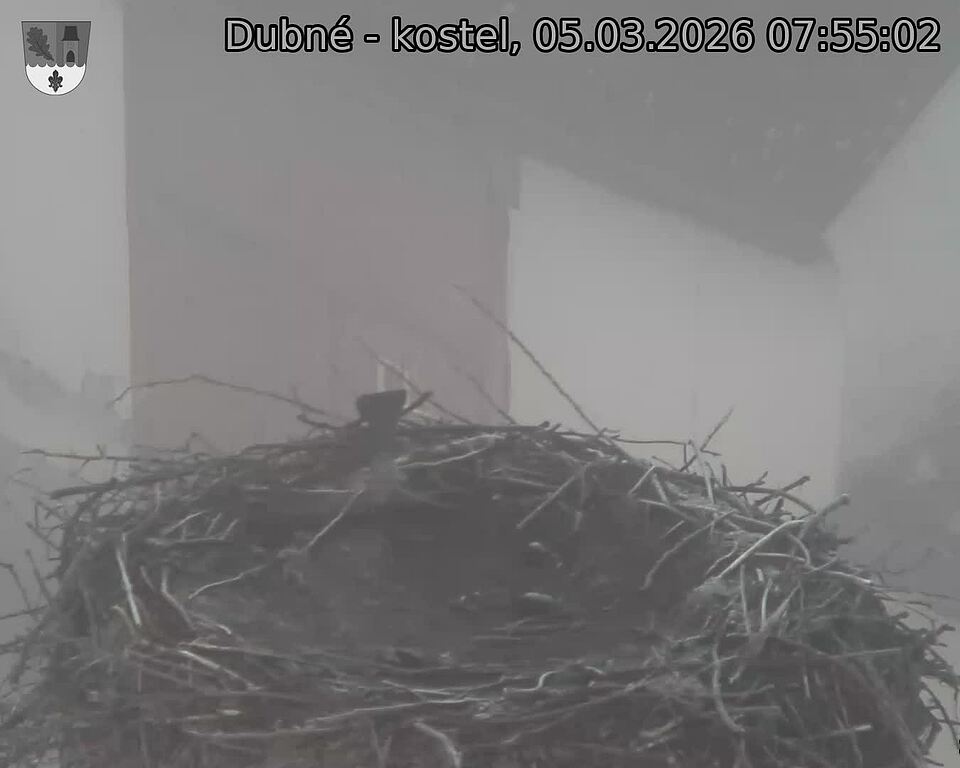 Capi_Dubne_20260305_075502.jpg (1350&nbsp;x&nbsp;1080)