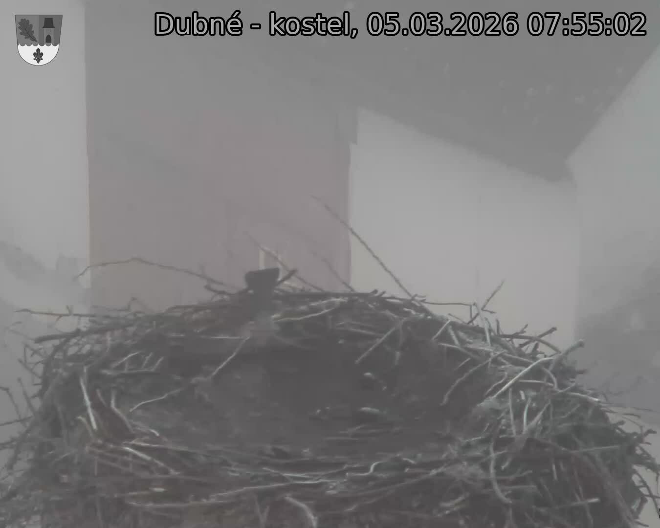 Capi_Dubne_20260305_075502.jpg (1350&nbsp;x&nbsp;1080)