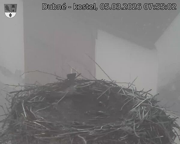 Capi_Dubne_20260305_075502.jpg (1350&nbsp;x&nbsp;1080)